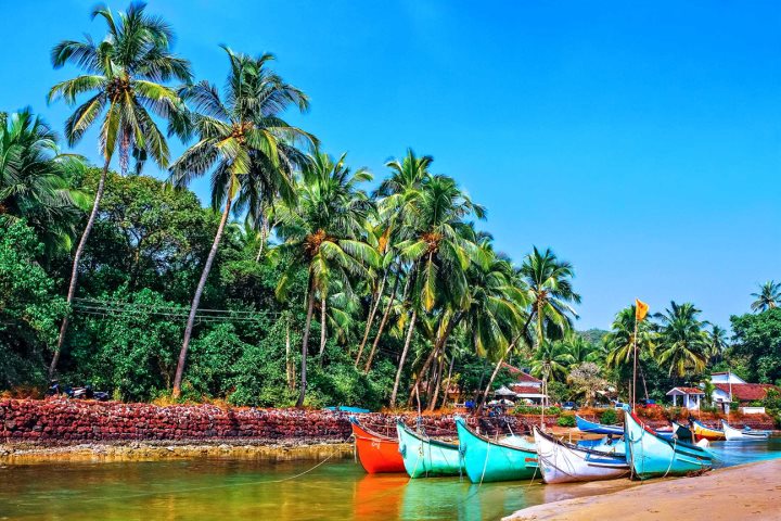 Explore the Shores of Goa
